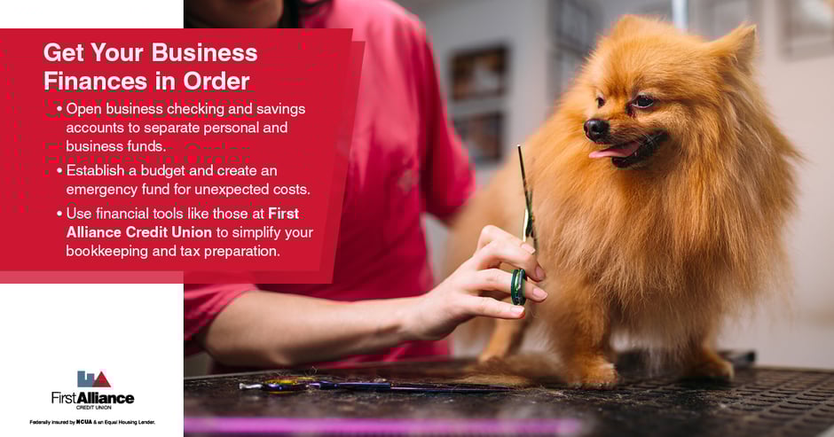 How to Start a Business - a dog grooming business