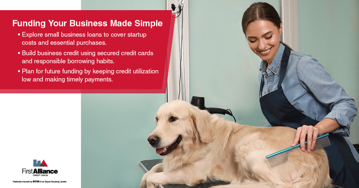 How to Start a Business - a woman grooming a dog