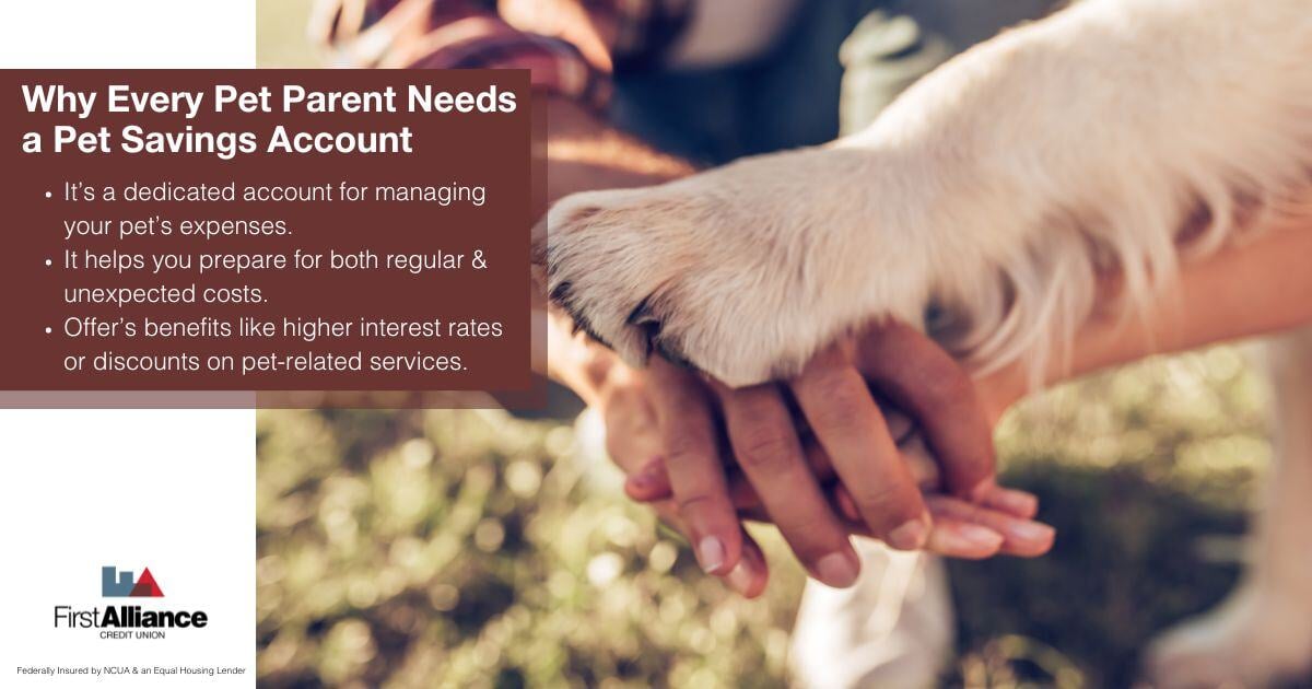 Pet Savings Account - Pet & people holding hands
