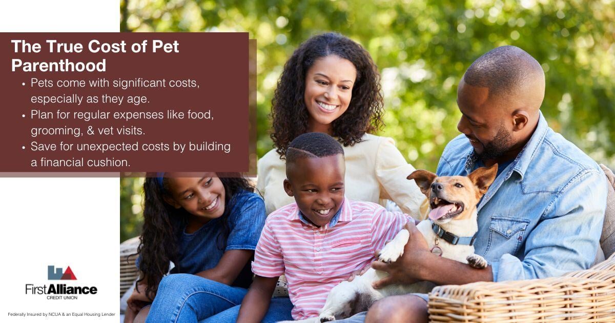 Pet Savings Account - a family playing with their dog