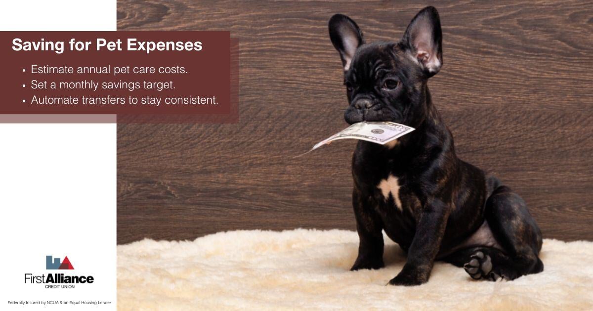 Using a Pet Savings Account - a dog with money