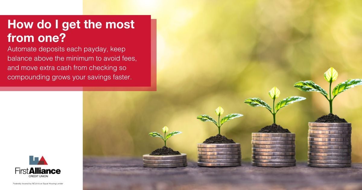 money market - how to get the most