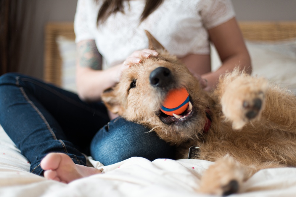 Woman with a dog resting on her lap