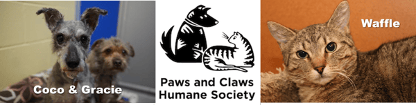 first alliance credit union pays adoption fee for pet at paws and claws humane society