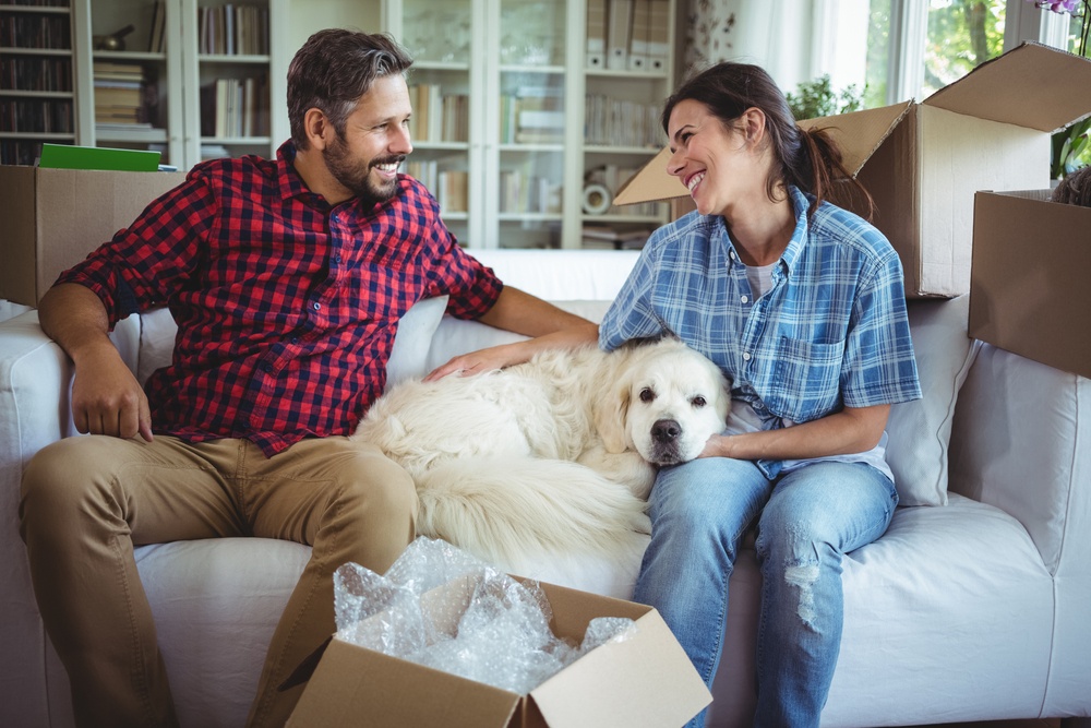 questions to ask when choosing a home equity loan | things to consider before getting a home equity loan | home equity loan | First Alliance Credit Union MN