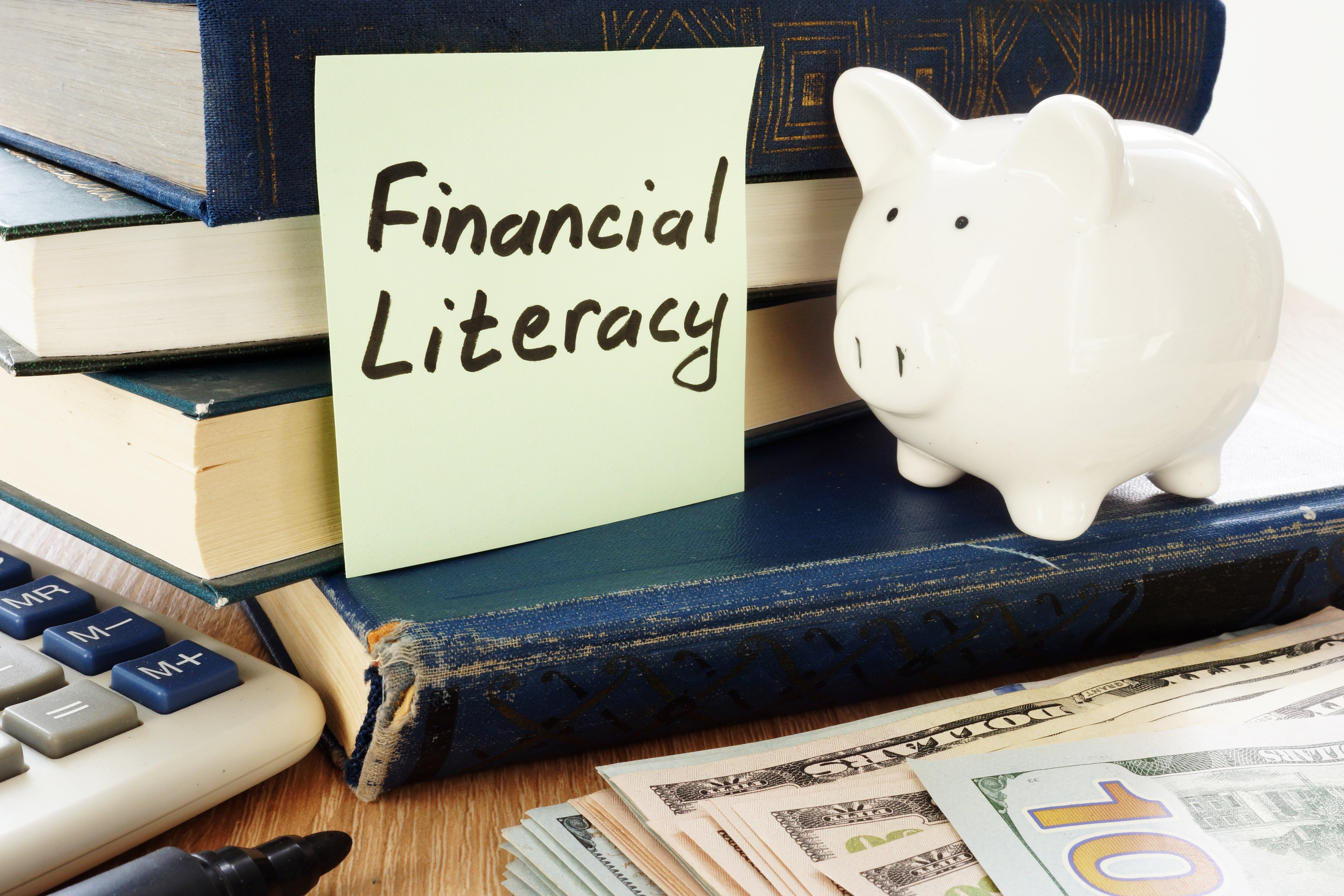 What is financial literacy and why is it important at first alliance credit union