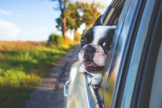 tips for buying your first car | tips when buying a car | buying my first car | First Alliance Credit Union MN
