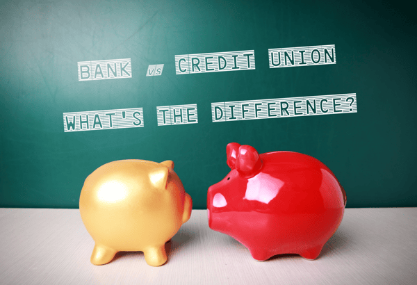 bank vs credit union | bank vs credit union | what is the difference between banks and credit unions | are credit unions different from banks | major differences of banks and credit unions | what are credit unions | first alliance credit union mn