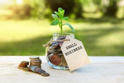 Jar of money with plant growing