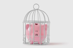 Piggy bank in a birdcage | First Alliance Credit Union