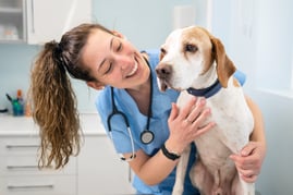 Female veterinarian examining dog