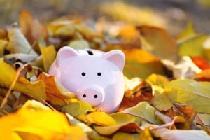 piggy bank in leaves
