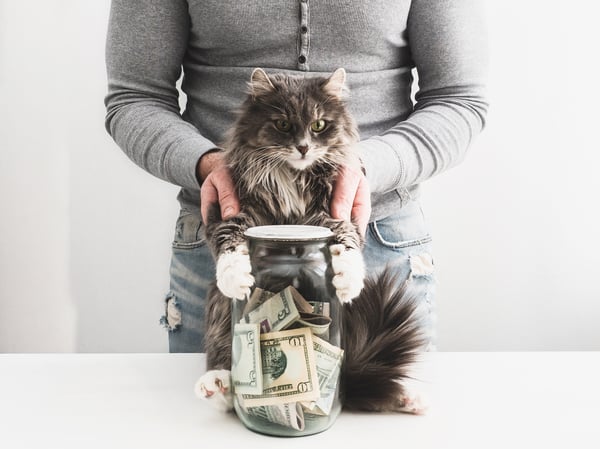 Cat with owner holding jar of money to save money for pet expenses