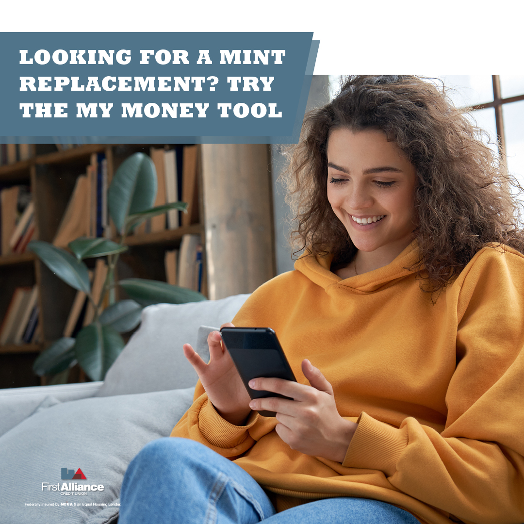 5 Reasons to Replace Mint With My Money