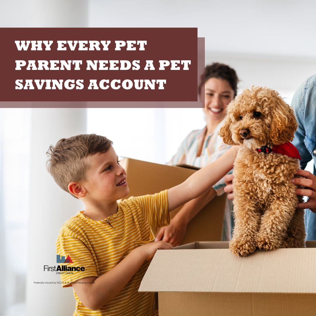 Why Every Pet Parent Needs a Pet Savings Account
