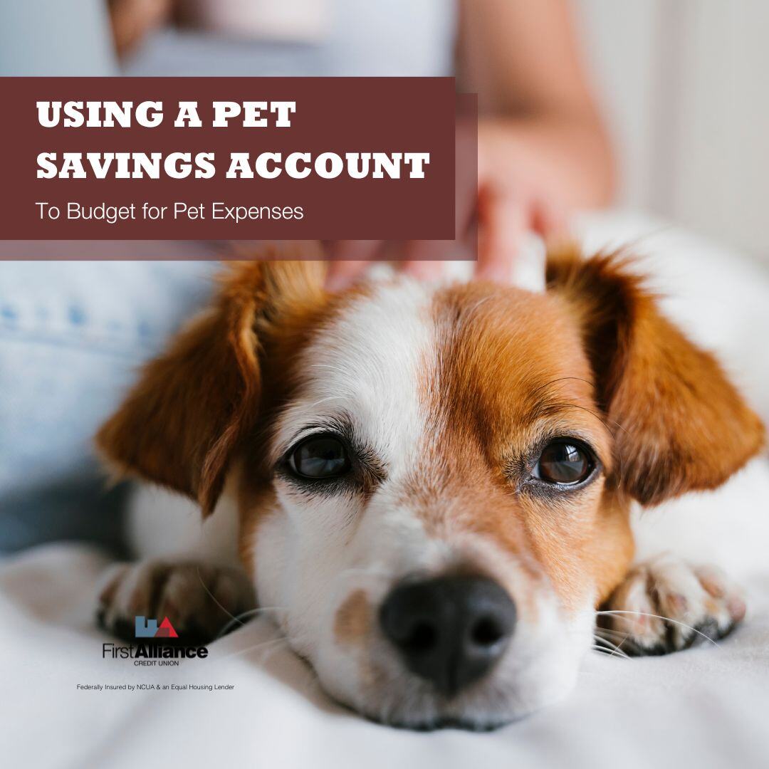 Using a Pet Savings Account to Budget for Pet Expenses