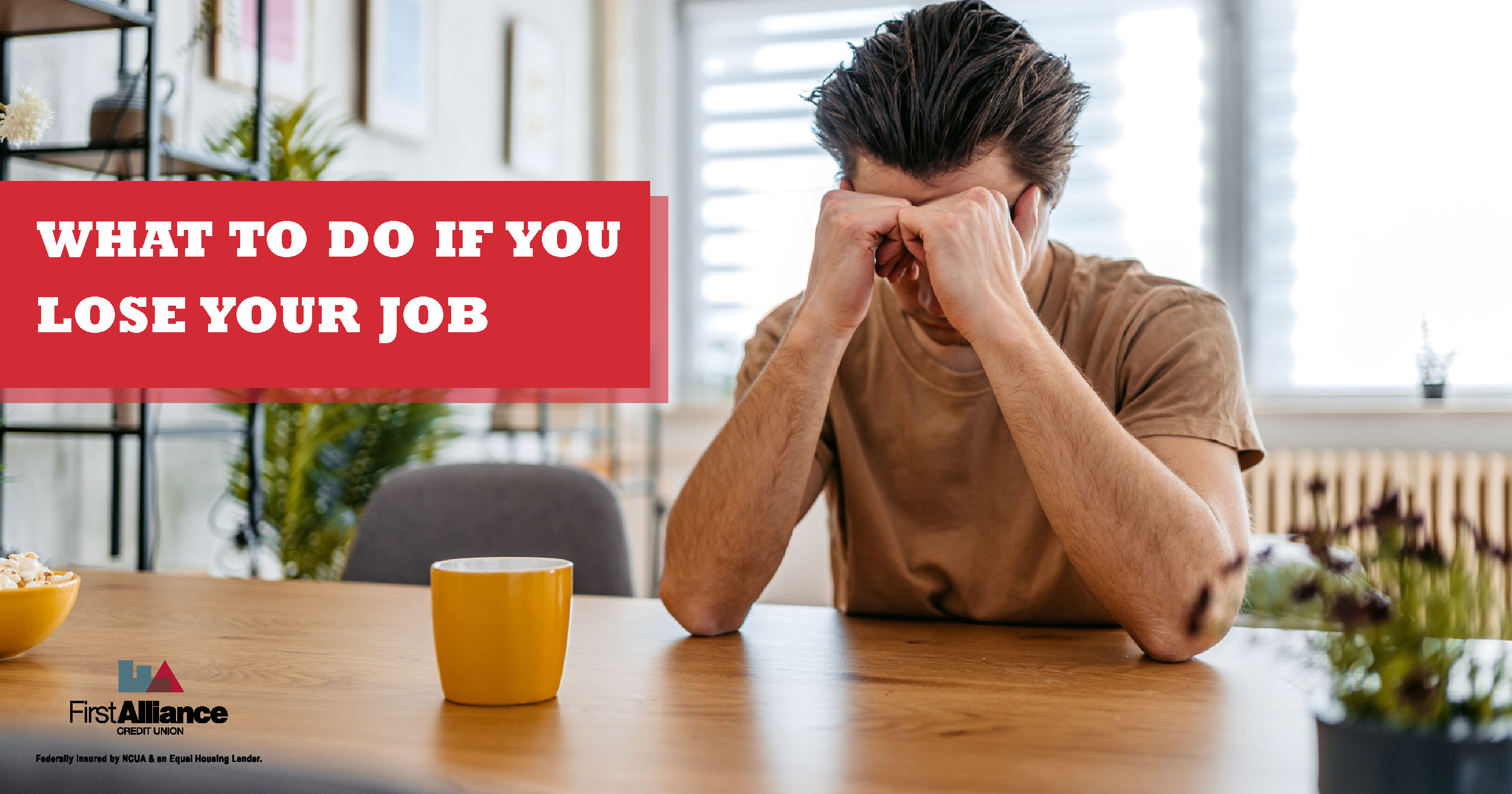 What to do if you Lose Your Job