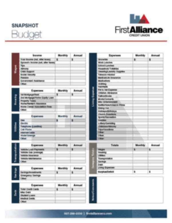 FA1090_25_SnapshotBudget_85X11_A